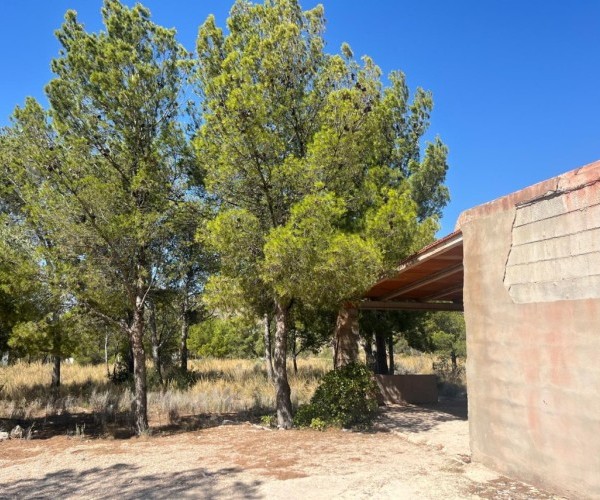 CASA DE CAMPO EN AGOST