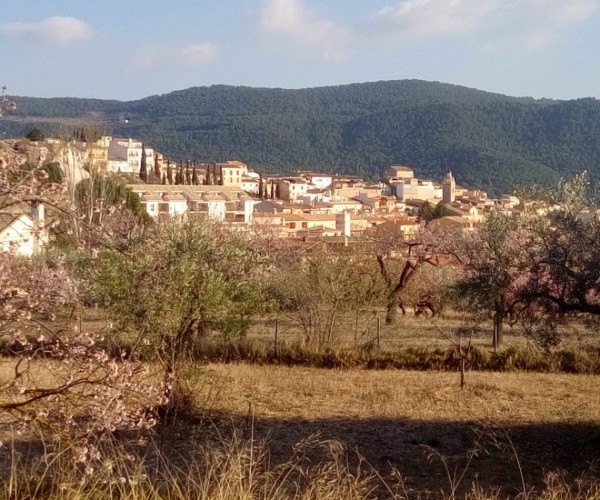 TERRENO  EN VENTA EN TORREMANZANAS 
