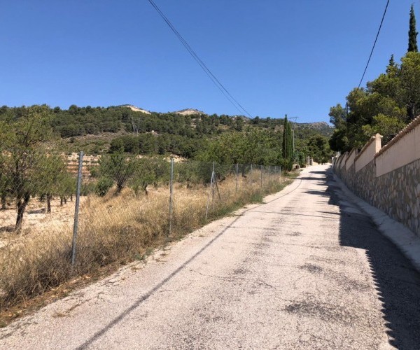 TERRENO  EN VENTA EN TORREMANZANAS 