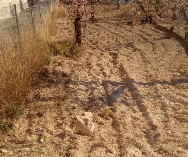TERRENO  EN VENTA EN TORREMANZANAS 