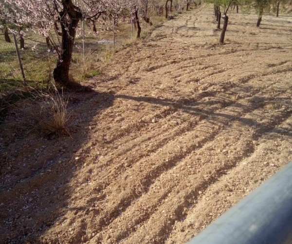 TERRENO  EN VENTA EN TORREMANZANAS 
