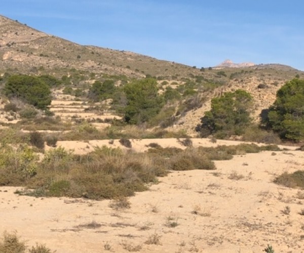 MAGNIFICO TERRENO BEC DEL AGUILLA 