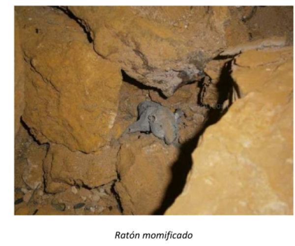 MAGNÍFICA MINA DE OCRE ANTIQUÍSIMAS EN MUTXAMEL