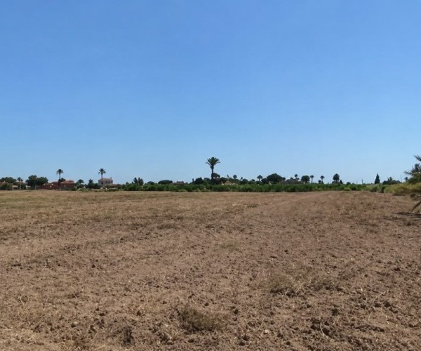 PARCELA PARA CONSTRUIR EN MUTXAMEL 