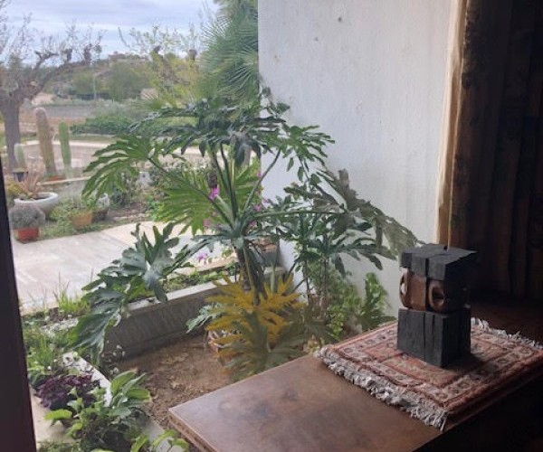 CHALET LUMINEUX Á RENOVER  Á NOVELDA ZONA COCUN 