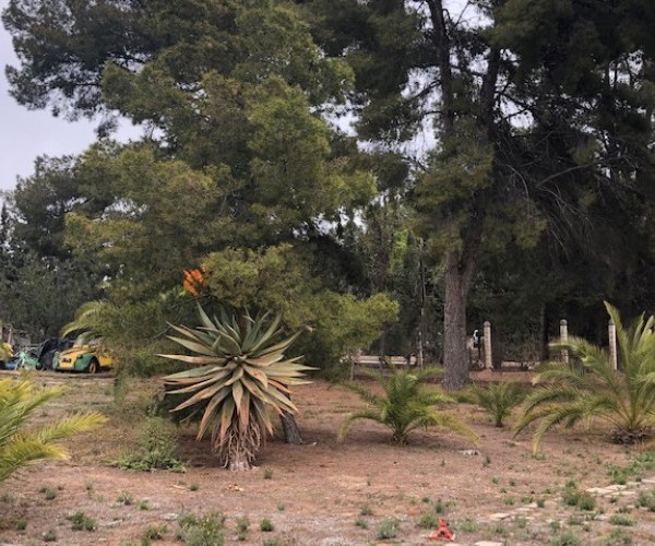 CHALET LUMINEUX Á RENOVER  Á NOVELDA ZONA COCUN 