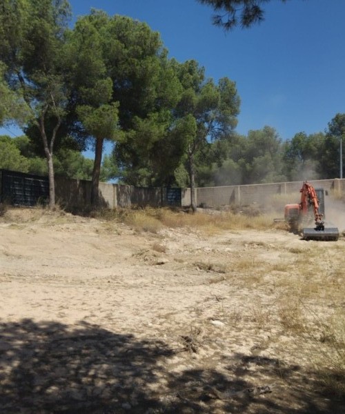 MAGNIFICENT PLOTS IN FINCA TEROL TIBI