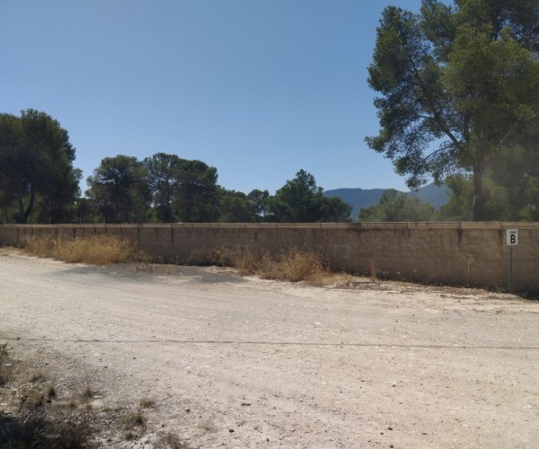 MAGNIFICENT PLOTS IN FINCA TEROL TIBI