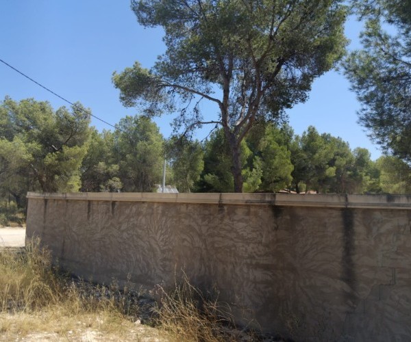 MAGNIFICENT PLOTS IN FINCA TEROL TIBI