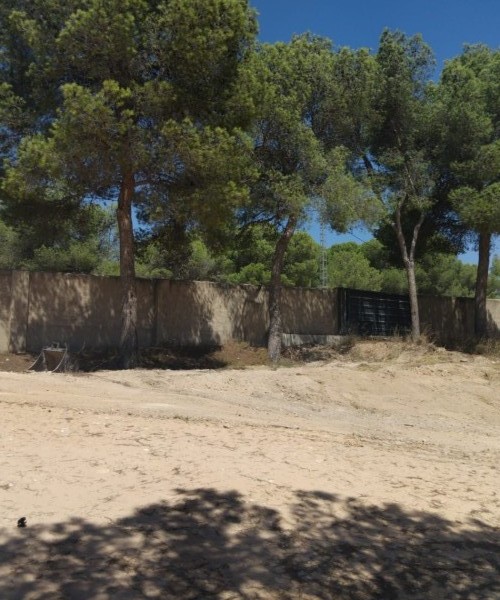 MAGNIFICENT PLOTS IN FINCA TEROL TIBI