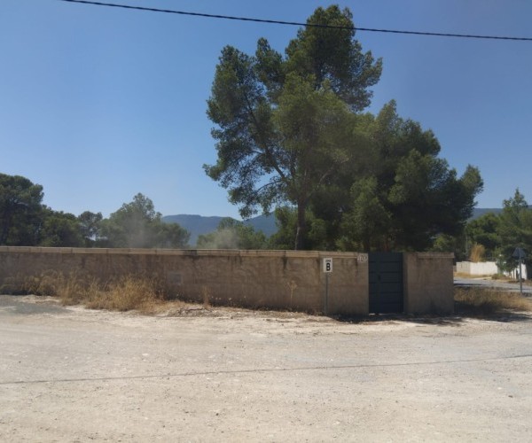 MAGNIFICENT PLOTS IN FINCA TEROL TIBI