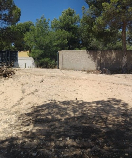 MAGNIFICENT PLOTS IN FINCA TEROL TIBI