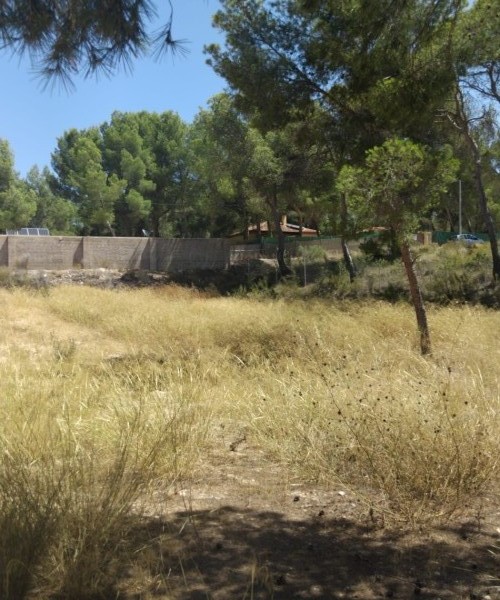 MAGNIFICENT PLOTS IN FINCA TEROL TIBI