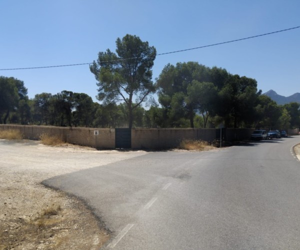 MAGNIFICENT PLOTS IN FINCA TEROL TIBI