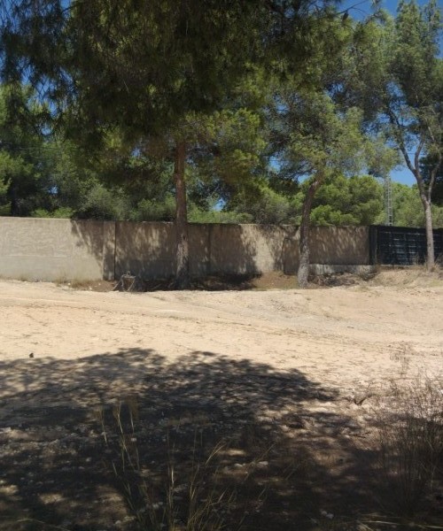 MAGNIFICENT PLOTS IN FINCA TEROL TIBI